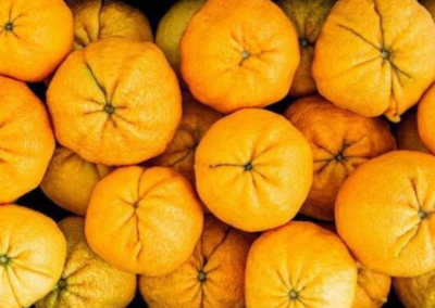Ugli Orange Negotiation